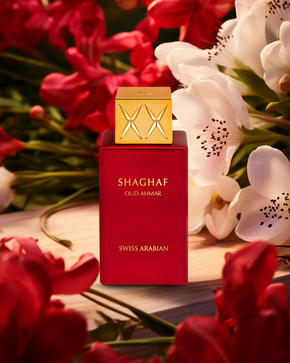 SHAGHAF OUD AHMAR