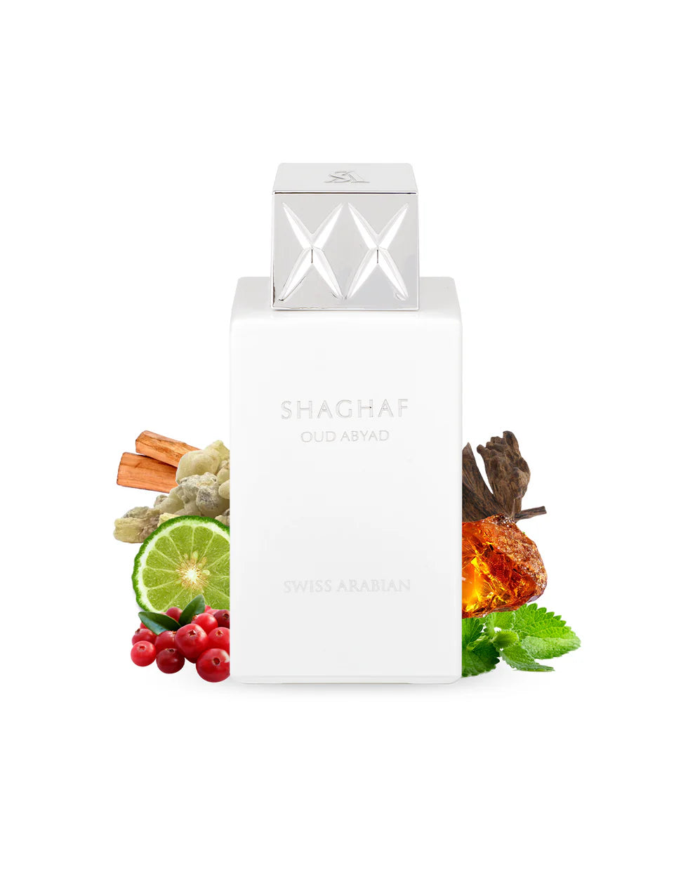 SHAGHAF OUD ABYAD