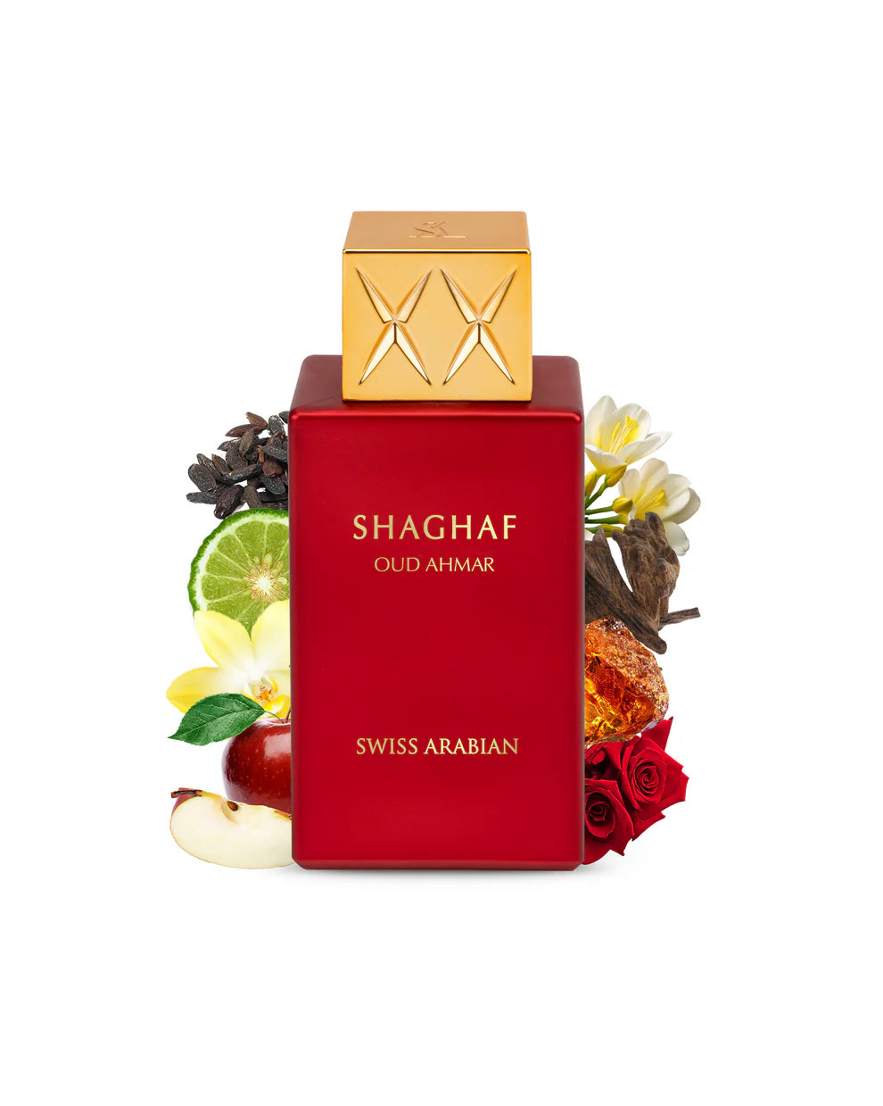 SHAGHAF OUD AHMAR
