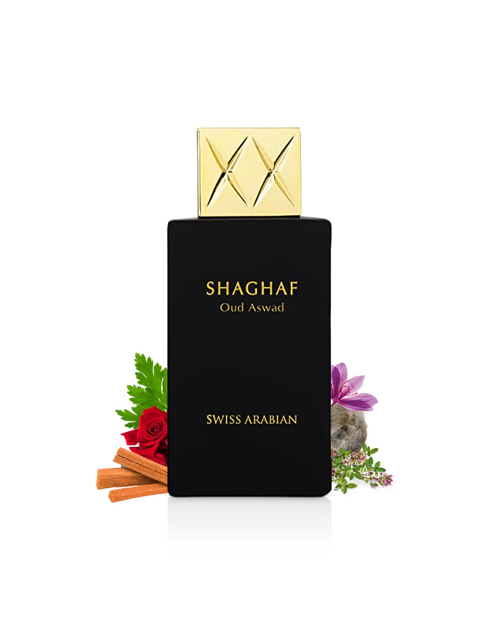 SHAGHAF OUD ASWAD