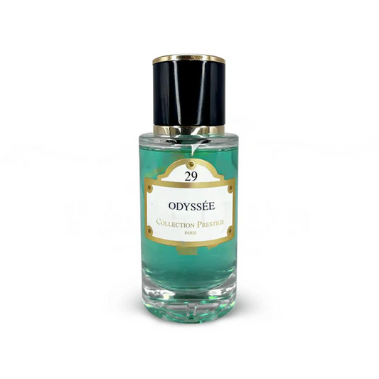 N°29 Odyssée